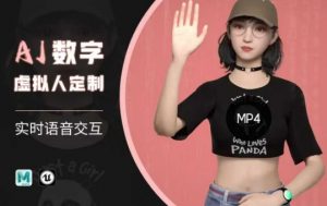 Ai数字人虚拟(智能体)实时语音交互特训营,自行定制超写实角色AI数字人交互技术-瀚宇网创
