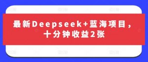 最新Deepseek+蓝海项目，十分钟收益2张-瀚宇网创