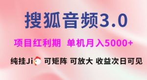 搜狐音频挂ji3.0.可矩阵可放大,独家技术,稳定月入5000+【揭秘】-瀚宇网创