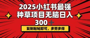 2025小红书最强种草项目，无脑日入300+，复制粘帖即可，多劳多得-瀚宇网创