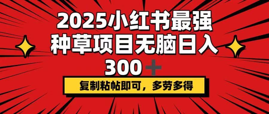 2025小红书最强种草项目，无脑日入300+，复制粘帖即可，多劳多得-瀚宇网创