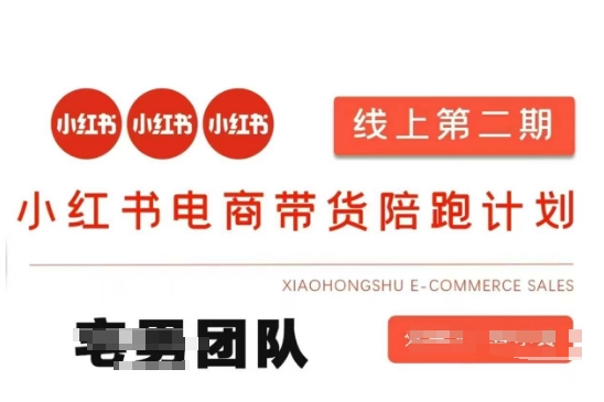 小红书电商带货课2期，月利润20个的小红书电商的有货源，无货源，虚拟产品，付费投流等整套玩法-瀚宇网创