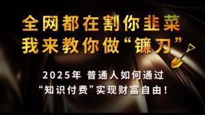 全网都在割你韭菜,我来教你做镰刀,2025普通人如何通过知识付费,实现财F自由【揭秘】-瀚宇网创