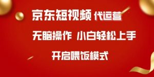 京东短视频代运营,全程喂饭,小白轻松上手【揭秘】-瀚宇网创