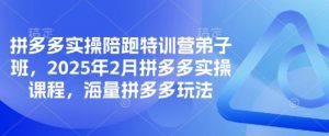 拼多多实操陪跑特训营弟子班,2025年2月拼多多实操课程,海量拼多多玩法-瀚宇网创