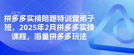 拼多多实操陪跑特训营弟子班，2025年2月拼多多实操课程，海量拼多多玩法-瀚宇网创