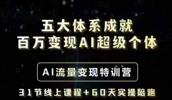 五大体系成就百万变现AI超级个体- AI流量变现特训营，一步一步教你一个人怎么年入百W-瀚宇网创