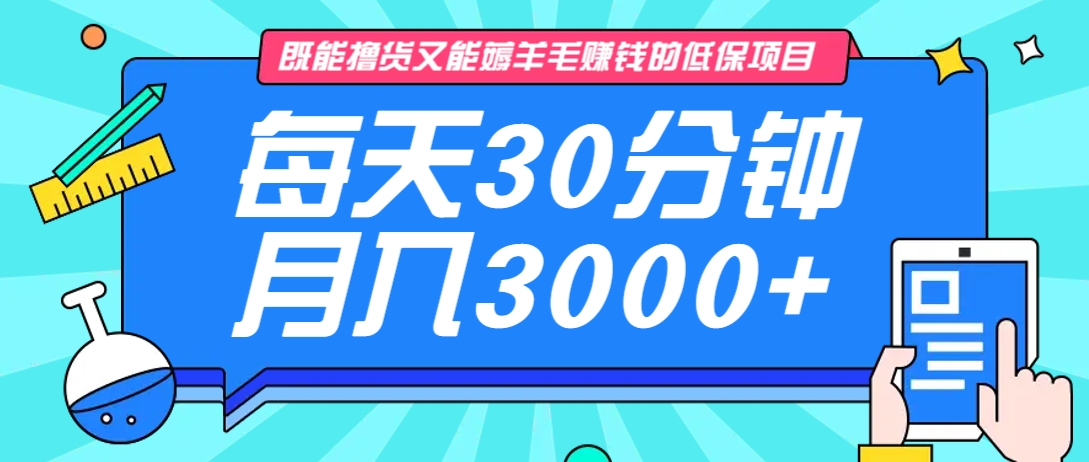 既能撸货又能赚钱的长期低保项目，每天30分钟，多号百分百稳定月入3000+！-瀚宇网创