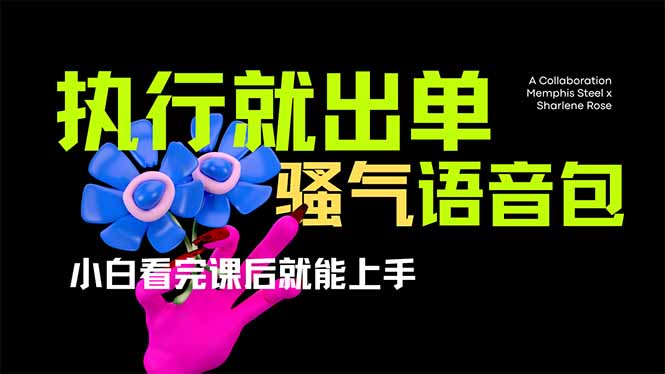 爆火全网的开车导航骚气语音包,只要执行就出单,小白看完课程就能实操…-瀚宇网创