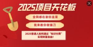 2025项目天花板普通人如何通过知识付费,实现财F自由【揭秘】-瀚宇网创