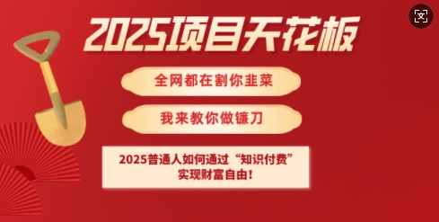 2025项目天花板普通人如何通过知识付费,实现财F自由【揭秘】-瀚宇网创