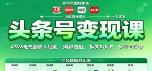 头条号变现课:43W纯流量收入经验,爆款选题,拆文6步法,多平台同步-瀚宇网创