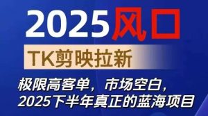 2025风口TK剪映capcut拉新项目，极限高客单，市场空白，2025下半年真正的蓝海项目-瀚宇网创