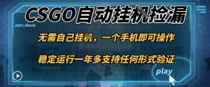 游戏自动挂G捡漏，一个手机即可操作，当天可操作见到结果，新手小白轻松月入1W+【揭秘】-瀚宇网创