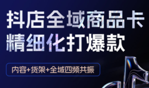 金戈·抖店爆单陪跑课-抖音小店爆单陪跑(更新10月)-瀚宇网创