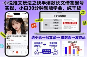 小说推文玩法之快手爆款长文借鉴起号实操，小白30分钟就能学会，纯干货-瀚宇网创