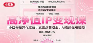 高净值IP变现课:小红书差异化定位,文案点赞成金, AI高效做短视频-瀚宇网创
