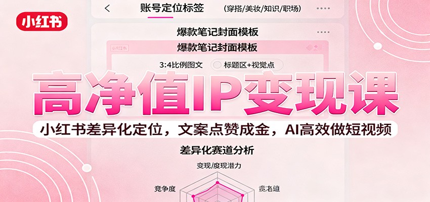 高净值IP变现课:小红书差异化定位,文案点赞成金, AI高效做短视频-瀚宇网创