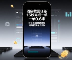 酒店截图任务,15秒完成一单,一单0.6米,任务不限量随便接,矩阵拉满单日3张【揭秘】-瀚宇网创