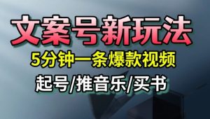 文案号新玩法，5分钟一条爆款视频，流量高，起号快，多方位变现-瀚宇网创