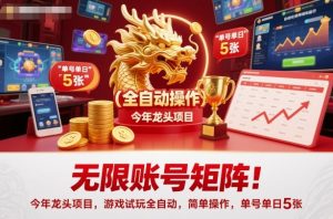 无限账号矩阵！今年龙头项目，游戏试玩全自动，简单操作，单号单日5张【揭秘】-瀚宇网创