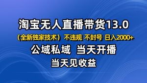 淘宝无人直播13.0，公域私域技术，不封号，不违规 布局下半年旺季赛道，日入2000+-瀚宇网创