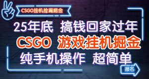 25年底搞钱回家过年，CSGO游戏挂机掘金，纯手机操作超简单-瀚宇网创