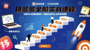 拼多多全阶实战课程,从新手小白到运营高手,海量实战玩法+全年实时更新【2025年10月更新】-瀚宇网创