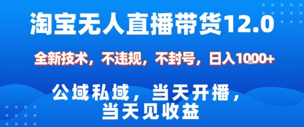 淘宝无人直播12.0,公域私域技术,不封号,不违规布局双十一流量风口,日入1k(独家技术)【揭秘】-瀚宇网创