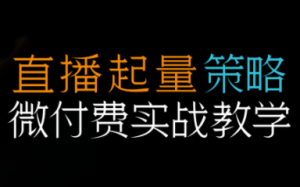半野老师·直播带货起量与微付费必学课视频号-瀚宇网创