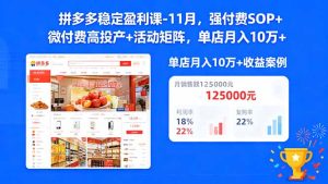 拼多多稳定盈利课-11月，强付费SOP+微付费高投产+活动矩阵，单店月入10w+-瀚宇网创