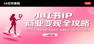 小红书IP商业变现全攻略：定位跃迁+爆款流量+私域裂变+直播转化，高利润闭环搭建-瀚宇网创