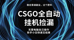 【稳定副业】全球最热门游戏CSGO全自动捡漏,最新玩法,新手小白日入5张+【揭秘】-瀚宇网创