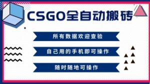 CSGO全自动搬砖，年底钱回家好项目，当天可拿到结果，新手小白轻松月入1W+【揭秘】-瀚宇网创