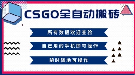 CSGO全自动搬砖,年底钱回家好项目,当天可拿到结果,新手小白轻松月入1W+【揭秘】-瀚宇网创