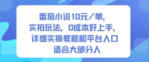 番茄小说10米每单，实拍玩法，0成本好上手，详细实操教程和平台入口适合大部分人-瀚宇网创