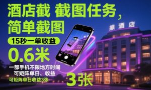 酒店截图任务,简单截图,15秒一单收益0.6米,一部手机不限地方时间,可矩阵单日收益3张【揭秘】-瀚宇网创