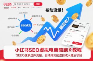 小红书SEO虚拟电商陪跑教程，实现seo搜索被动流量，自动成交的被动收入睡后项目-瀚宇网创