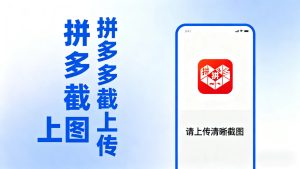 拼西西截图上传  次日结算-瀚宇网创