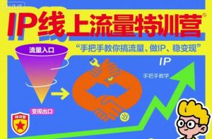 IP线上流量特训营,手把手教你搞流量、做IP、稳变现-瀚宇网创