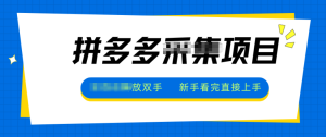 拼多多电商采集，一小时50+，操作简单，零投资-瀚宇网创