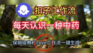 Coze扣子工作流一键生成每天认识一种中药短视频，保姆级搭建教学-瀚宇网创