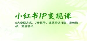 小红书IP变现课:6大变现方式,7步起号,爆款笔记打造,定位选品,流量增长-瀚宇网创
