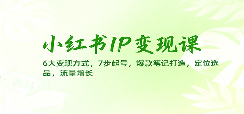 小红书IP变现课:6大变现方式,7步起号,爆款笔记打造,定位选品,流量增长-瀚宇网创
