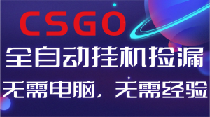 【副业好项目】全球火爆游戏CSGO自动捡漏，新手小白日入500+-瀚宇网创