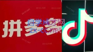 老陶电商·拼多多+抖音小店无货源开店(更新11月)-瀚宇网创