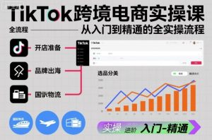 TikTok跨境电商实操课，从入门到精通的全实操流程-瀚宇网创