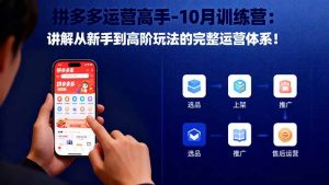 拼多多运营高手-10月训练营:讲解从新手到高阶玩法的完整运营体系!-瀚宇网创