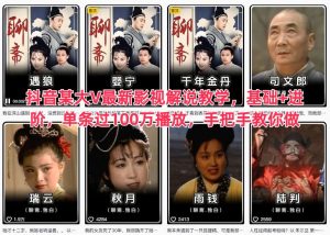 抖音某大V最新影视解说教学，基础+进阶，单条过100万播放，手把手教你做-瀚宇网创