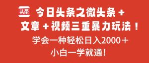 今日头条之微头条+文章+视频三重暴力玩法,学会一种轻松日入2000+,...-瀚宇网创